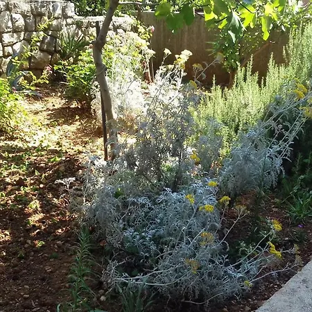 Roza Cres